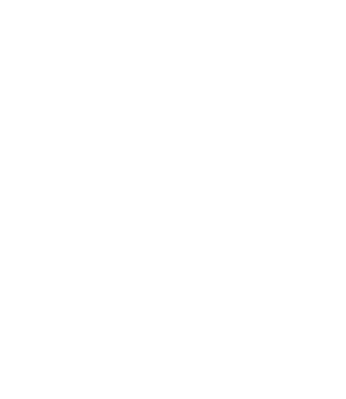 Link ExtraStiftelsen